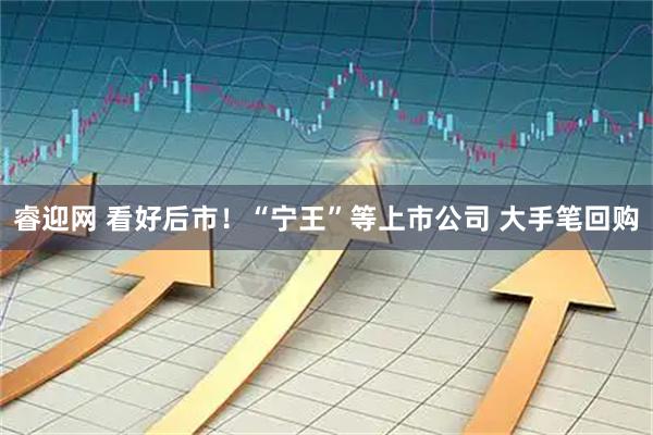 睿迎网 看好后市！“宁王”等上市公司 大手笔回购
