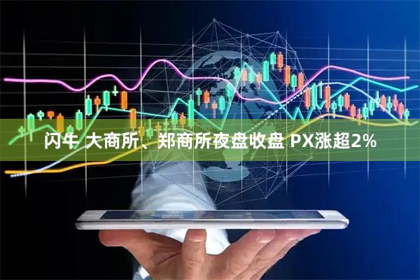 闪牛 大商所、郑商所夜盘收盘 PX涨超2%