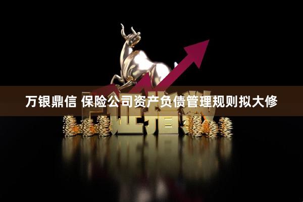 万银鼎信 保险公司资产负债管理规则拟大修