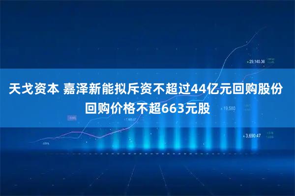 天戈资本 嘉泽新能拟斥资不超过44亿元回购股份 回购价格不超663元股