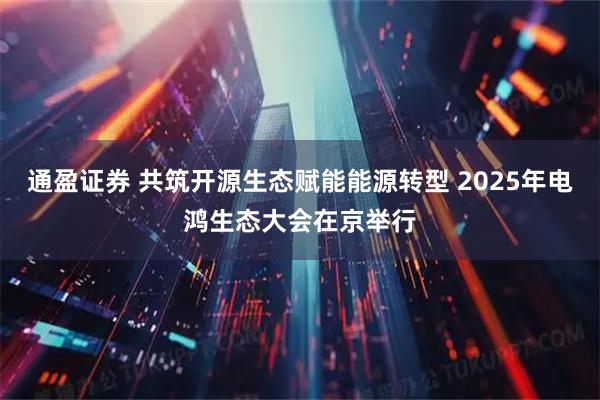 通盈证券 共筑开源生态赋能能源转型 2025年电鸿生态大会在京举行