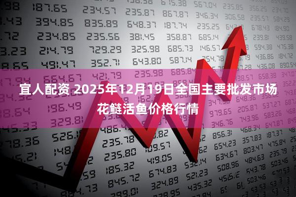 宜人配资 2025年12月19日全国主要批发市场花鲢活鱼价格行情